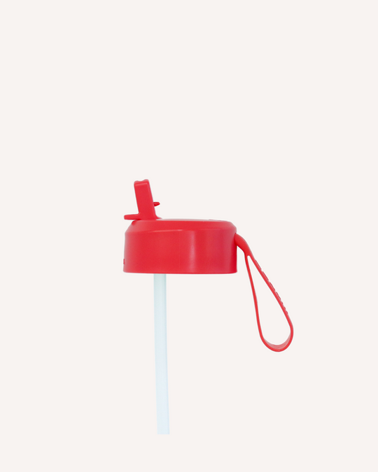 MontiiCo Sipper Lid + Straw 475ml - Watermelon