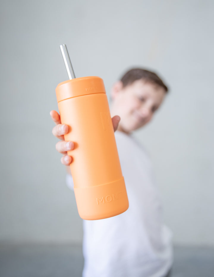 MontiiCo Smoothie Stainless Straw - 475ml