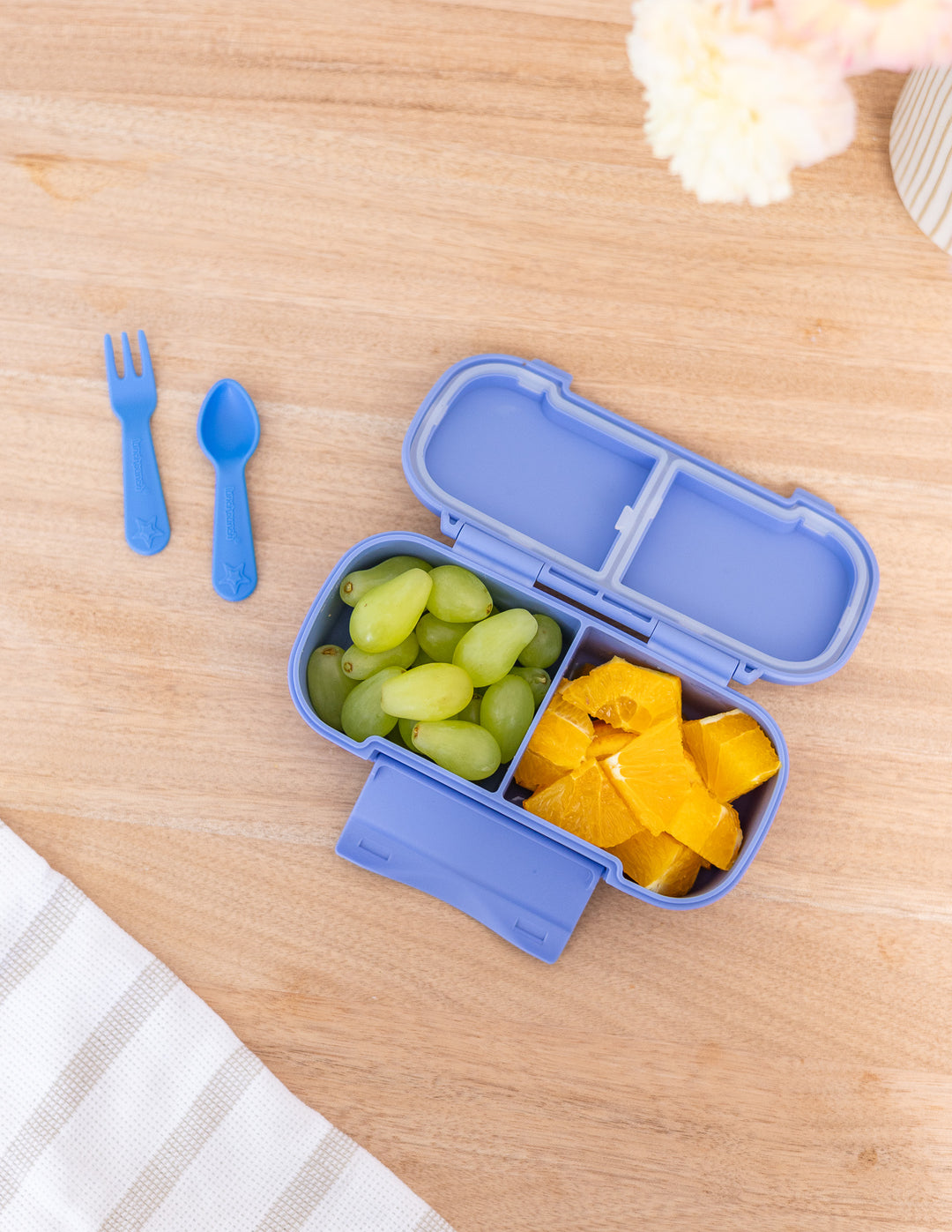 MontiiCo Snack Lunch Box Bundle - Dolphin Dreams