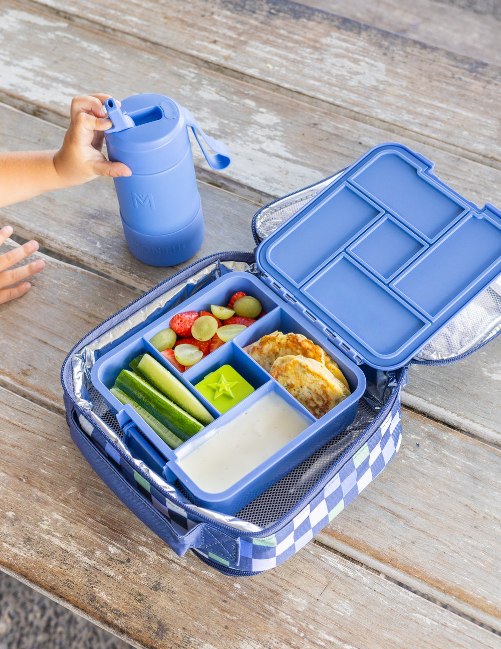 MontiiCo Bento Five Lunch Box - Splash