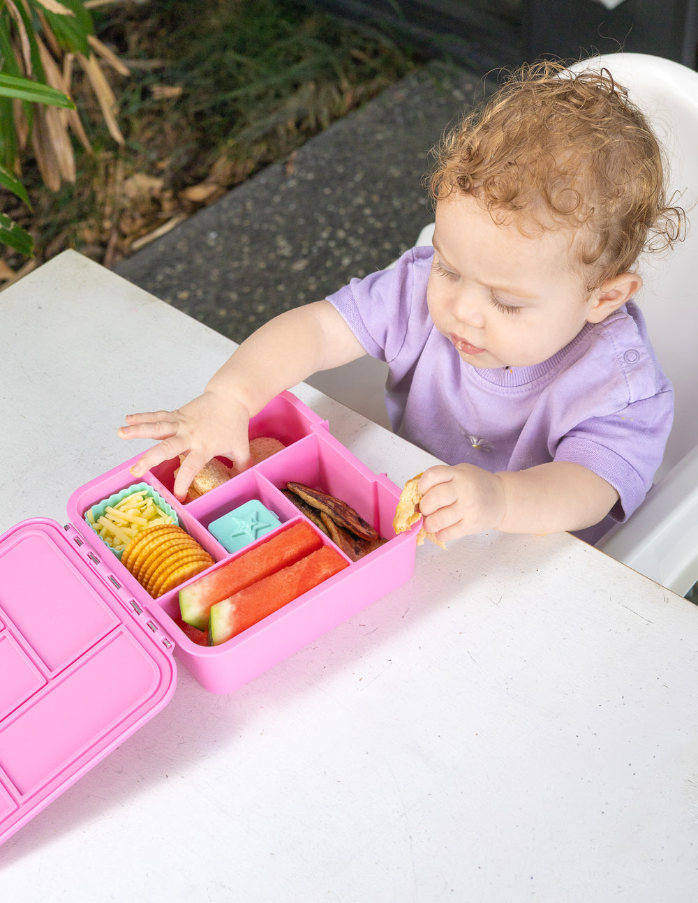 MontiiCo Bento Five Lunch Box - Floss