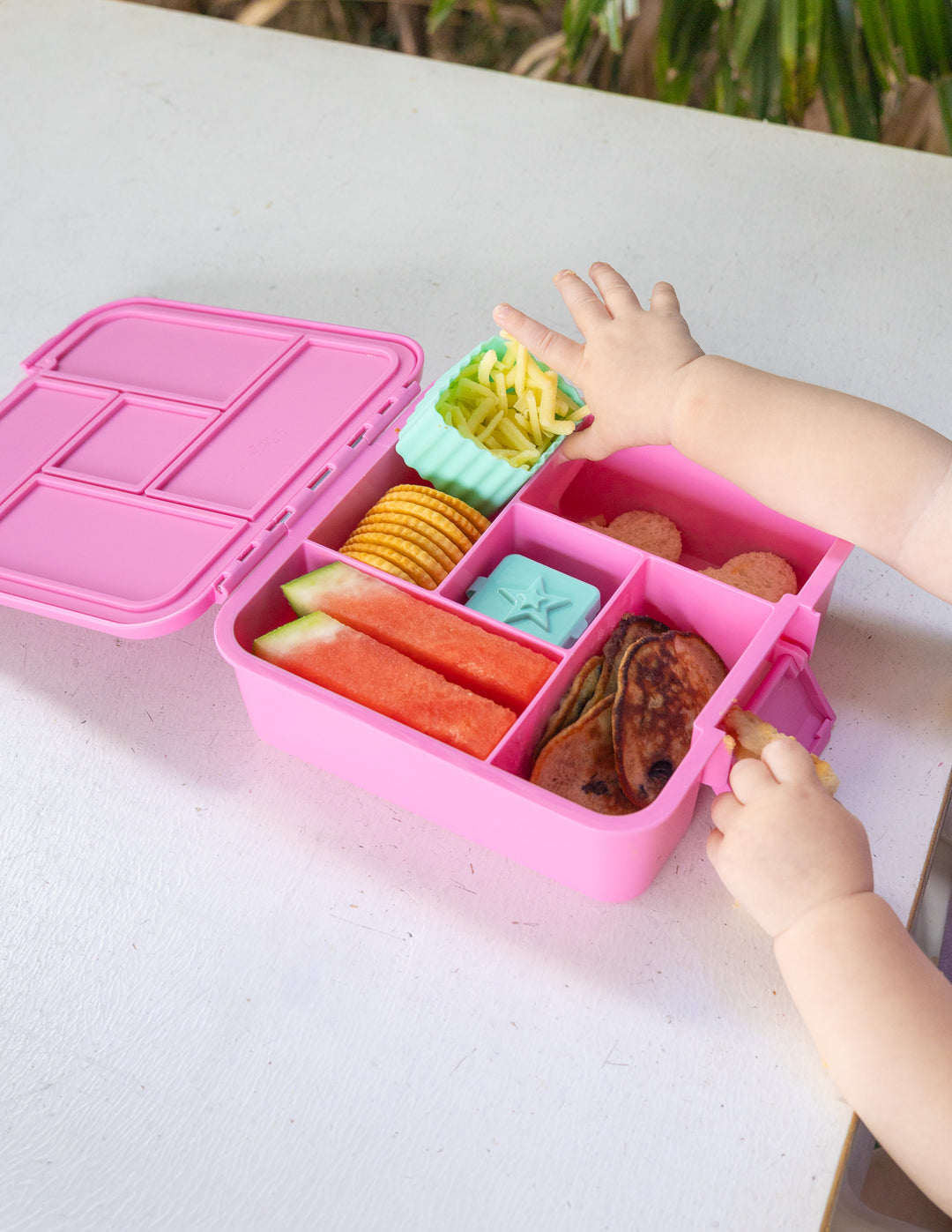 MontiiCo Bento Five Lunch Box - Floss