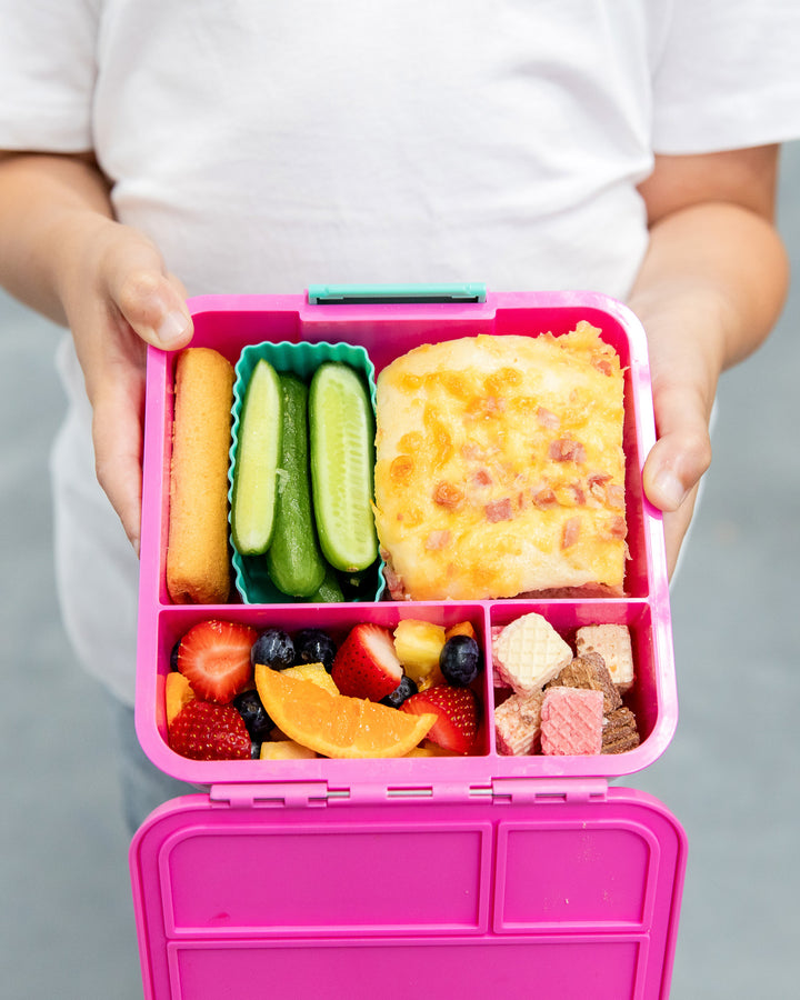 Bento Lunch Boxes · Little Lunch Box Co Bento – MontiiCo