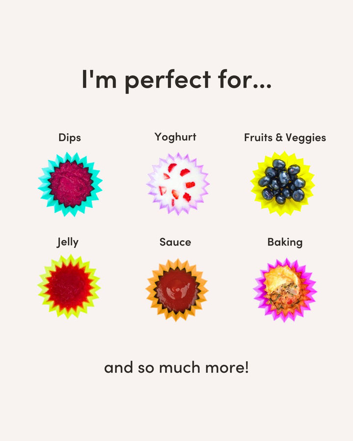 Lunch Punch Bento Set - Brights