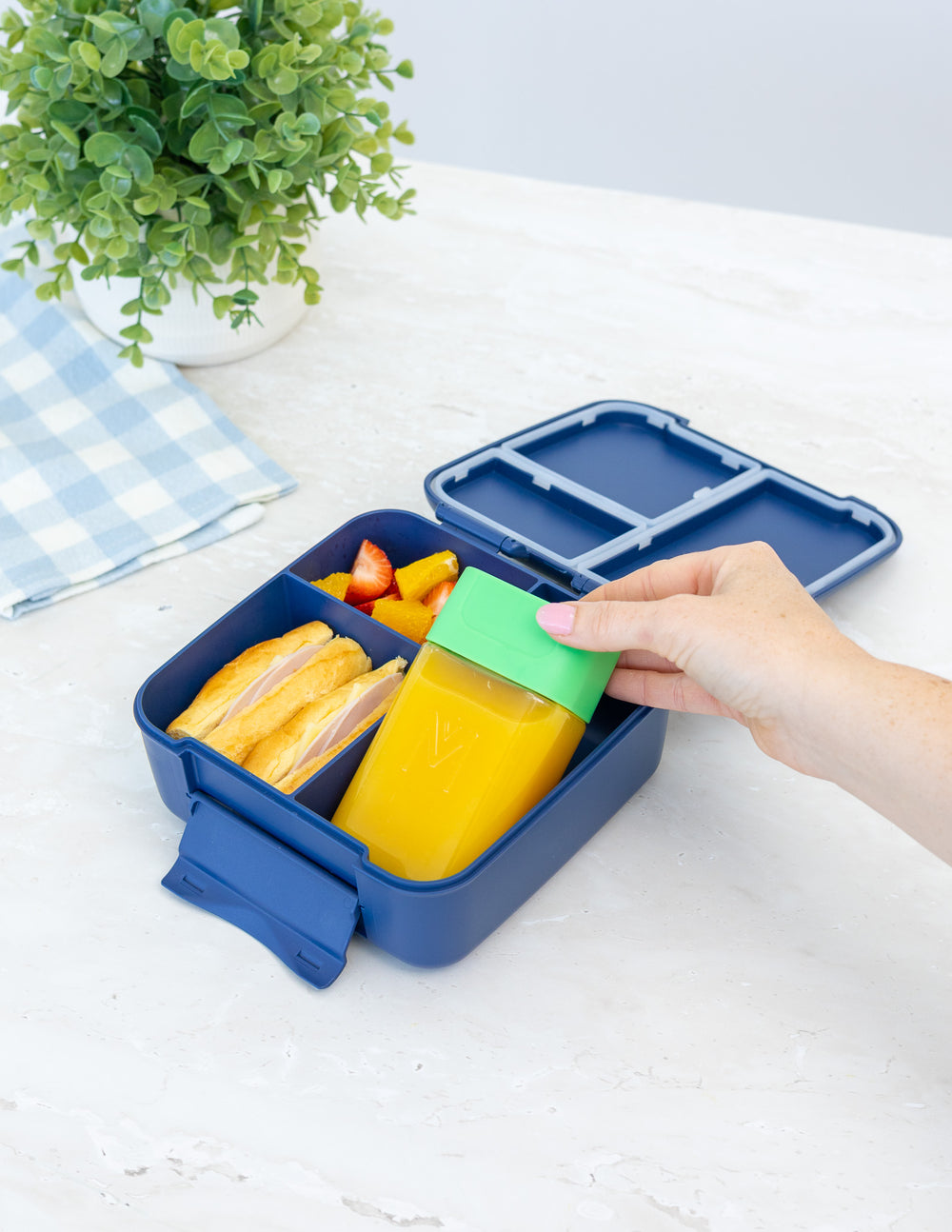 MontiiCo Bento Bottle Multipack - Apple