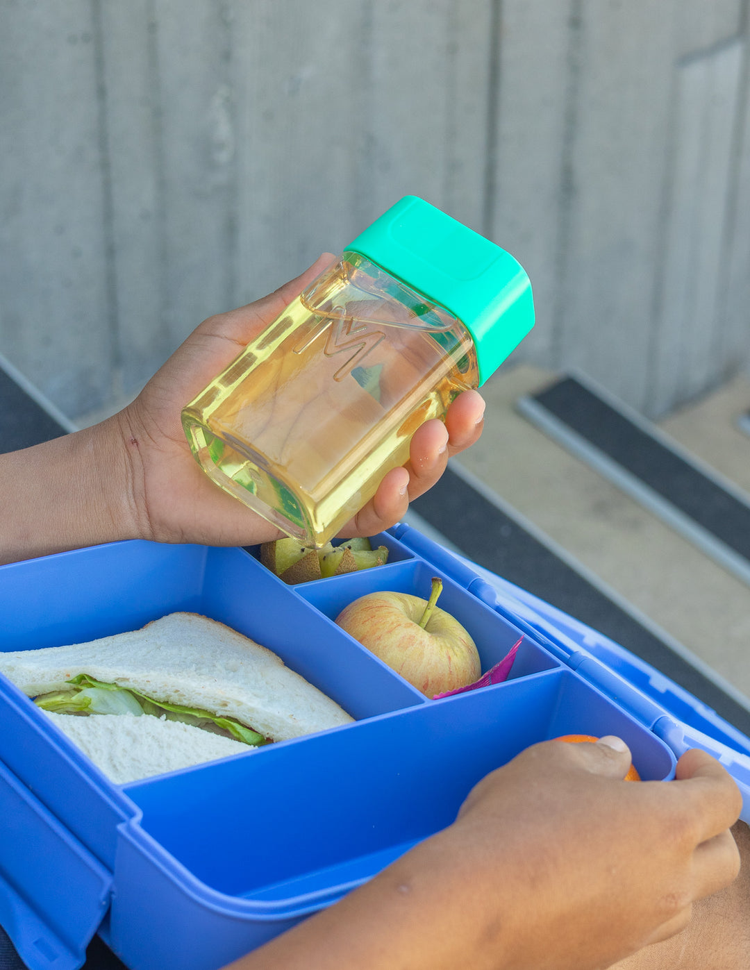 MontiiCo Bento Bottle - Mojito