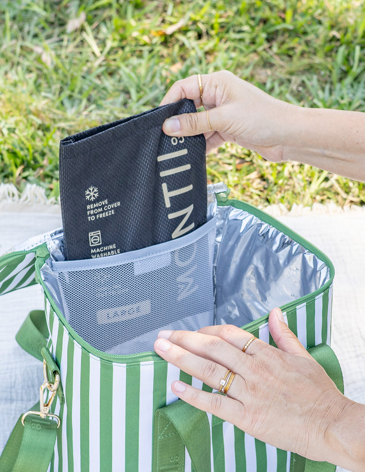 MontiiCo Insulated Midi Cooler Bag - Pickle Stripe