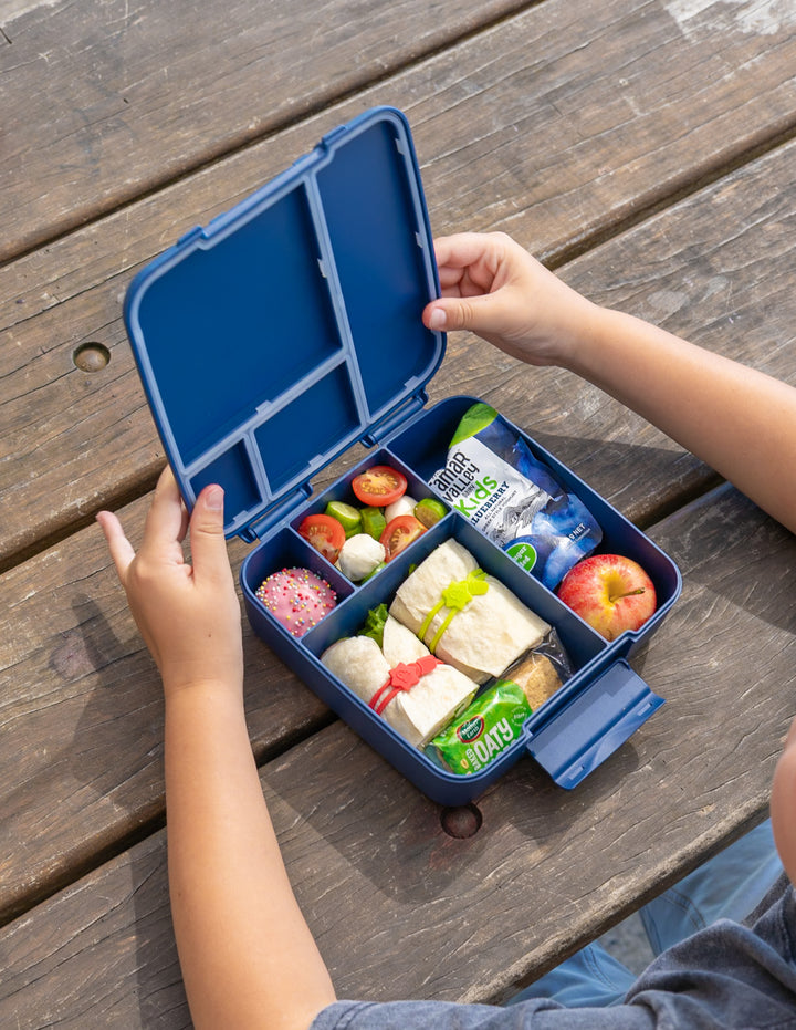 MontiiCo Feast Lunch Box - Navy