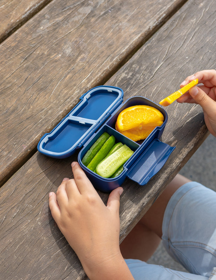 MontiiCo Snack Lunch Box - Navy