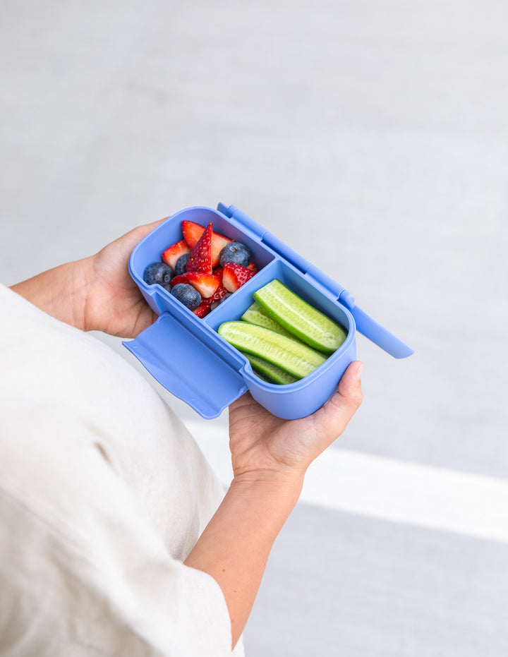 MontiiCo Snack Lunch Box - Splash