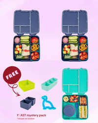 MontiiCo Feast Lunch Box Triple Dip - Navy