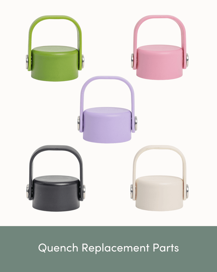 Replacements - Roam Quench