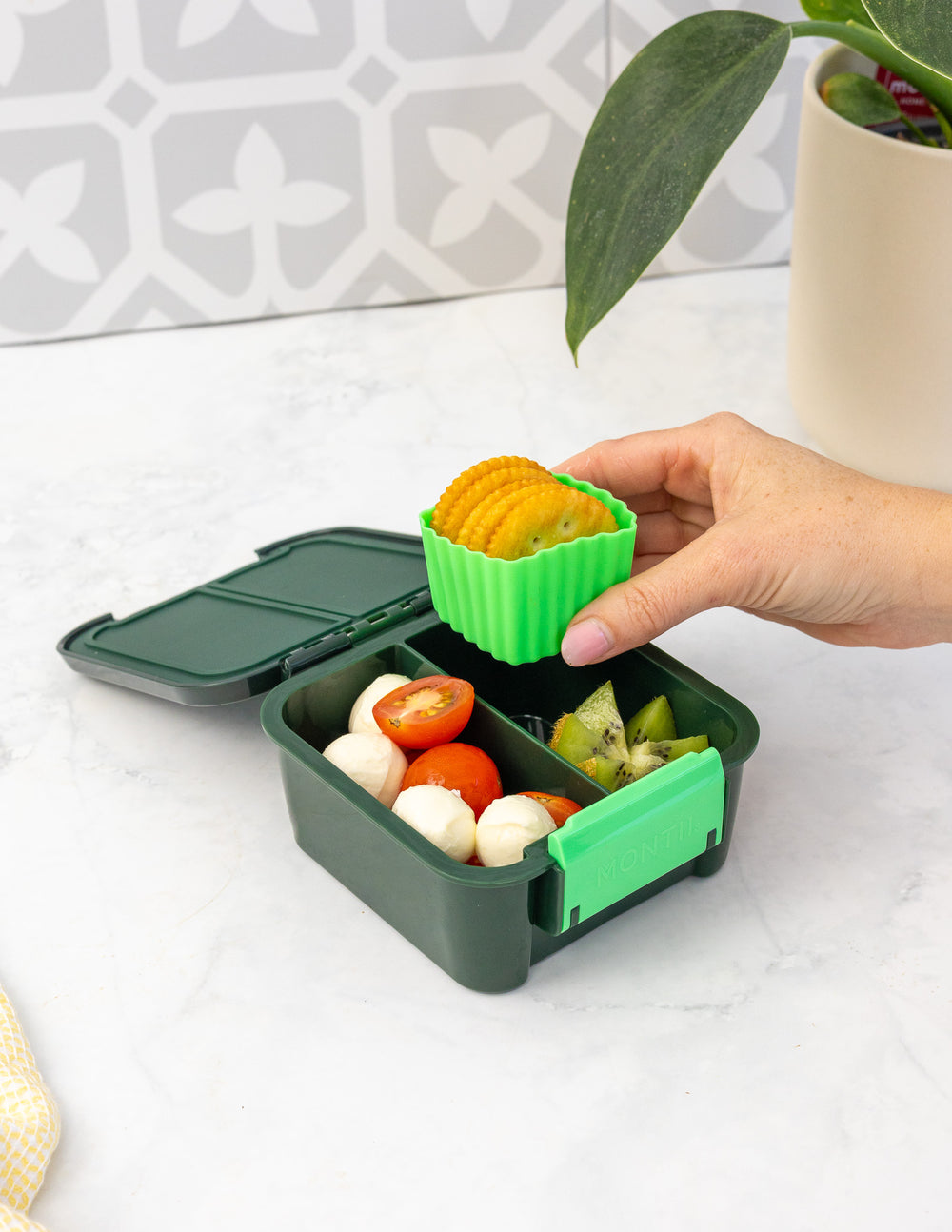 MontiiCo Bento Cups Mixed - Apple