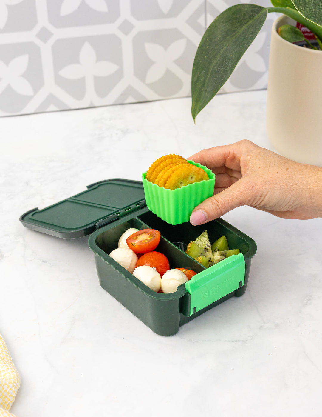 MontiiCo Bento Cups Mixed - Apple