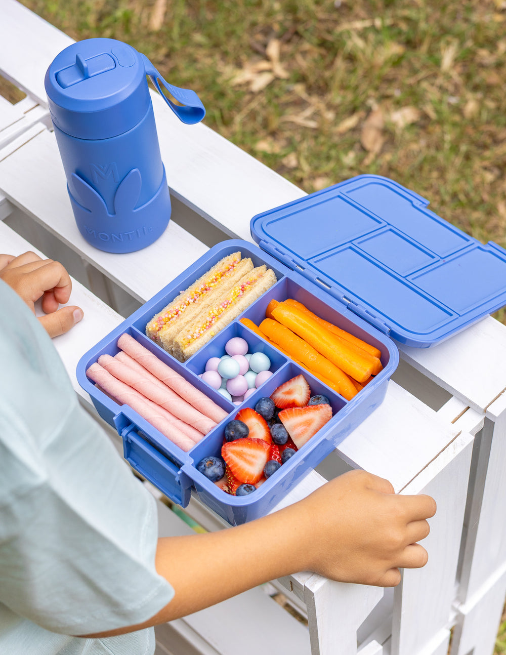 MontiiCo Bento Five Lunch Box - Splash