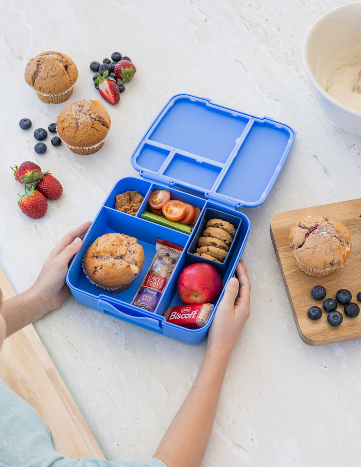 MontiiCo Feast Lunch Box - Blueberry