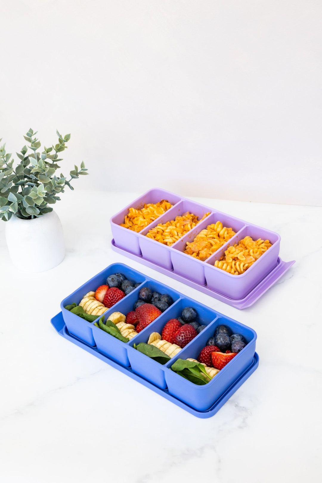 MontiiCo Freezer Tray Set - Splash