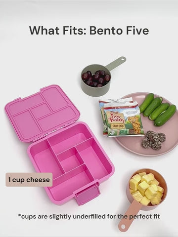 MontiiCo Bento Five Lunch Box - Splash