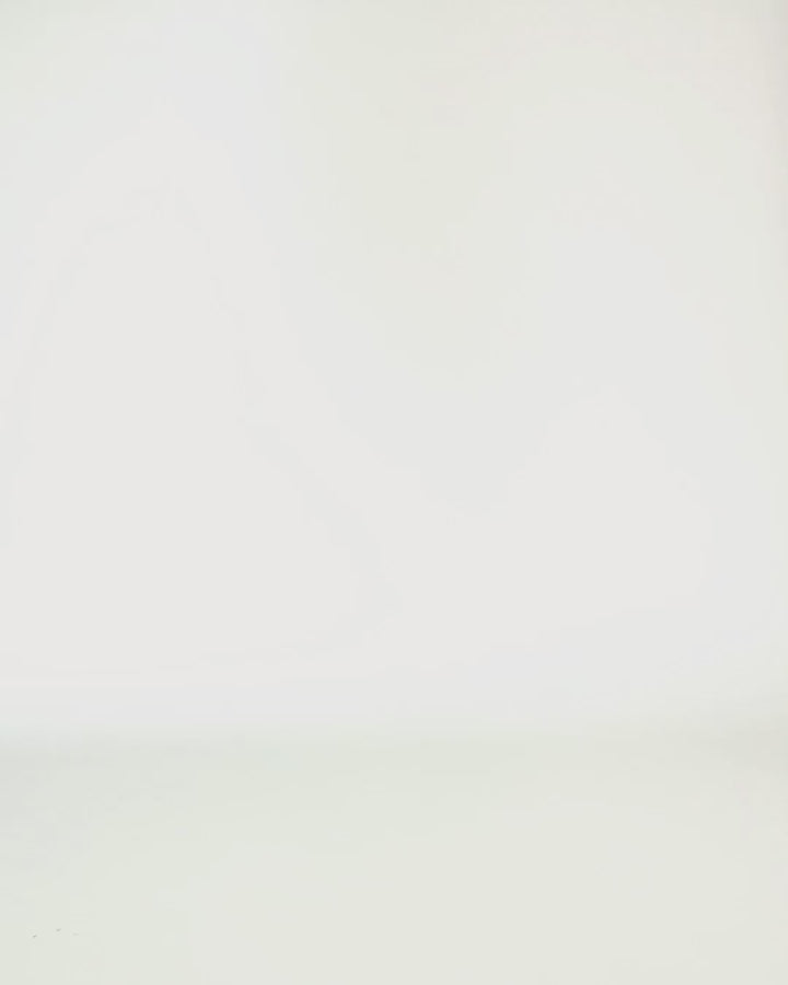 MontiiCo Backpack - Dolphin Dreams