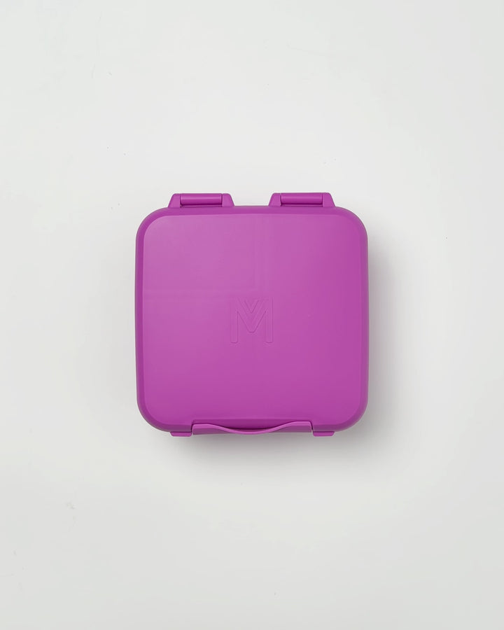 MontiiCo Bite Lunch Box - Fuchsia