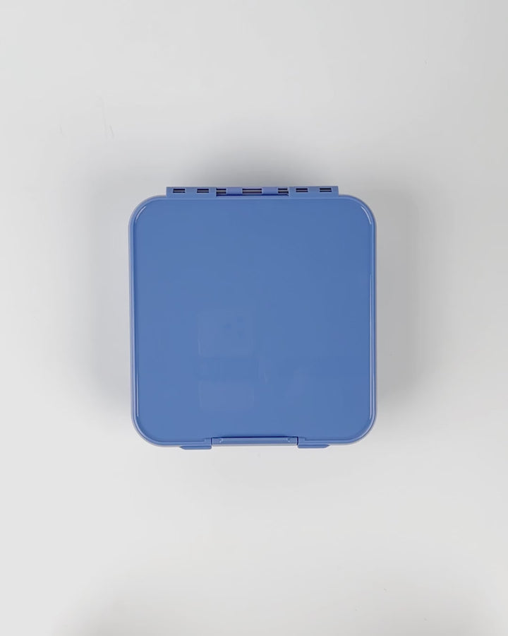 MontiiCo Bento Five Lunch Box - Splash