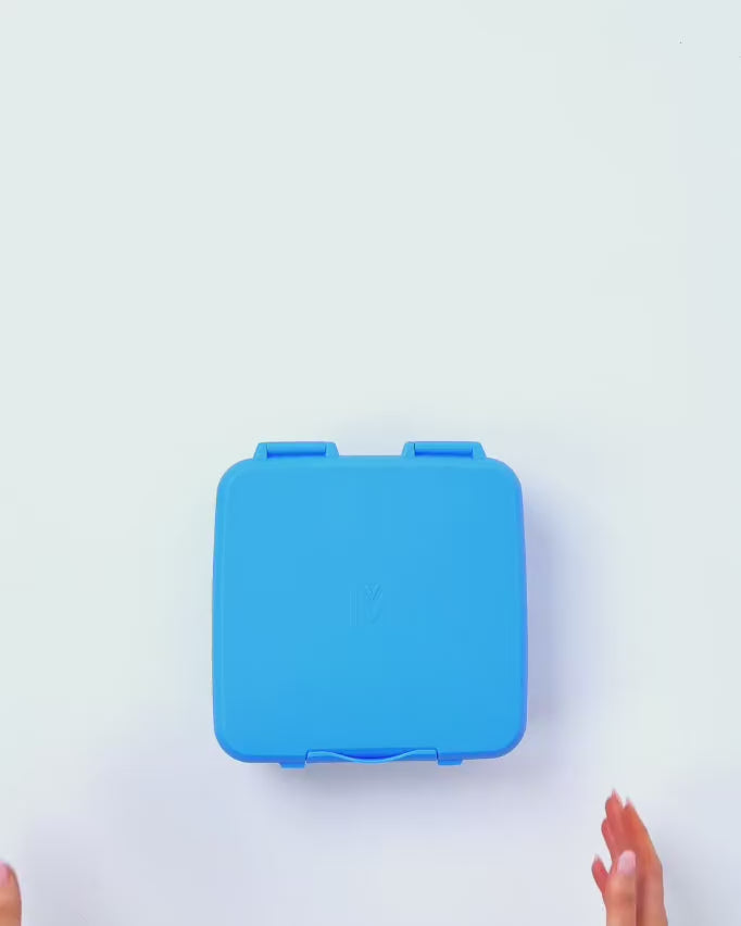 MontiiCo Feast Lunch Box - Blueberry