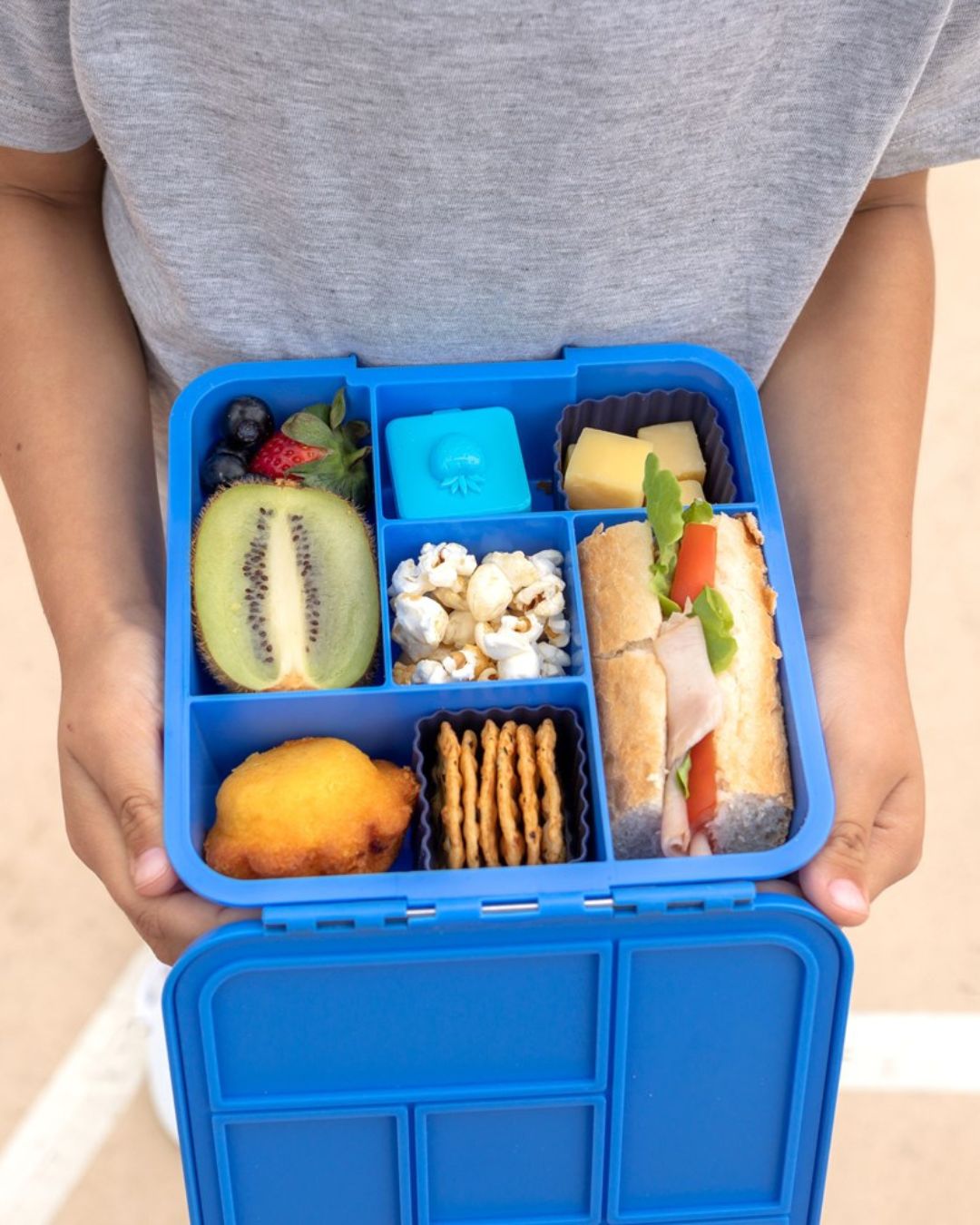 MontiiCo Bento Five Lunch Box - Blueberry