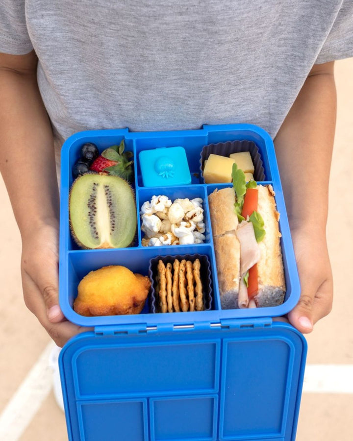 MontiiCo Bento Five Lunch Box - Blueberry