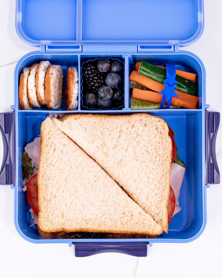 MontiiCo Bento Plus Lunch Box - Blueberry