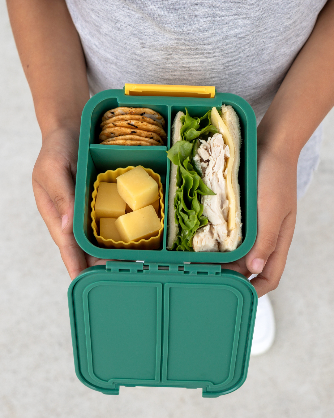 Healthy Bento Snack Boxes for On-The-Go! - Mind Over Munch 